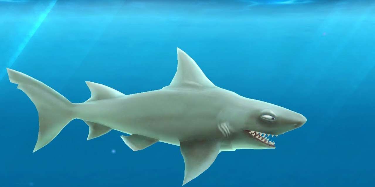 عالماشي : سمك القرش الجوعان