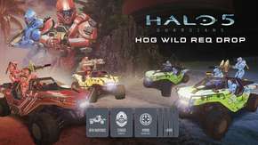 موعد إطلاق وتفاصيل الإضافة المجانية Hog Wild للعبة Halo 5