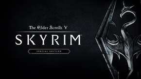 يبدو أنه سيكون هنالك حدود لدعم النسخة المحسنة من Skyrim للتعديلات