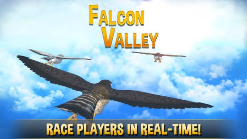 Falcon Valley وادي الصقور
