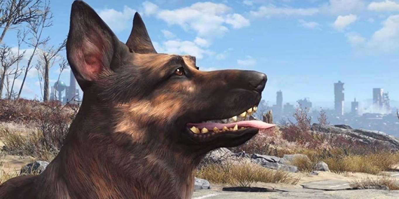 Microsoft تتبرع بـ10 آلاف دولار لجمعية خيرية – في ذكرى وفاة الكلب Dogmeat من Fallout 4