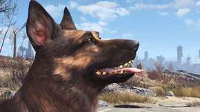 Microsoft تتبرع بـ10 آلاف دولار لجمعية خيرية – في ذكرى وفاة الكلب Dogmeat من Fallout 4