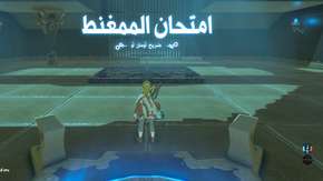 لعبة Zelda Breath of the Wild باتت متاحة باللغة العربية – على Wii U و Switch