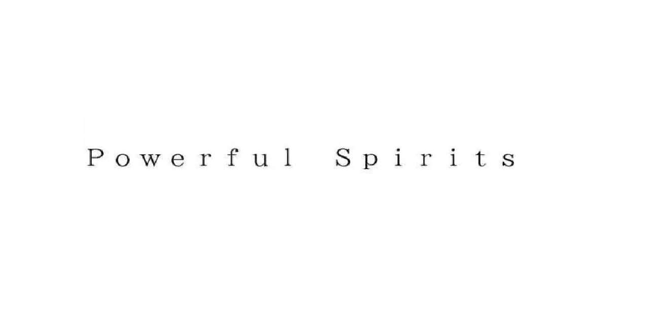 كونامي تقوم بتسجيل حقوق العلامة التجارية باسم Powerful Spirits