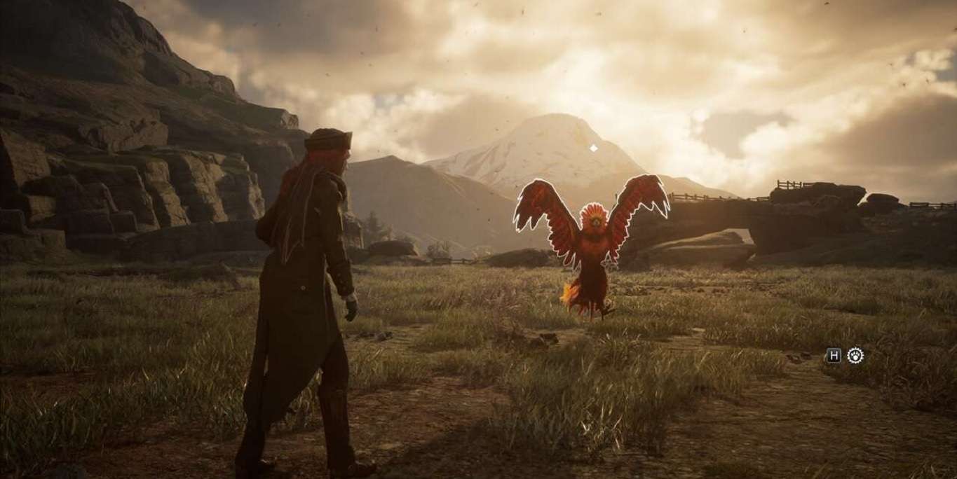 كيف تمسك بمخلوق Phoenix في لعبةHogwarts Legacy