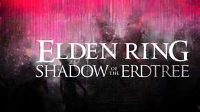 إضافة Elden Ring ستجيب على العديد من أسئلة اللاعبين حول القصة